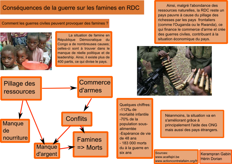 Fichier:Poster famineenrdc.png